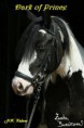Dark of Prince